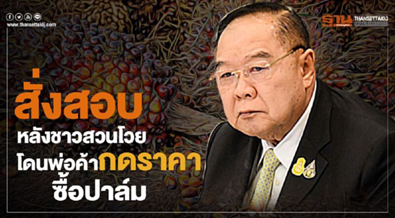 สั่งสอบหลังชาวสวนโวยโดนพ่อค้ากดราคาซื้อปาล์ม สั่งสอบหลังชาวสวนโวยโดนพ่อค้ากดราคาซื้อปาล์ม