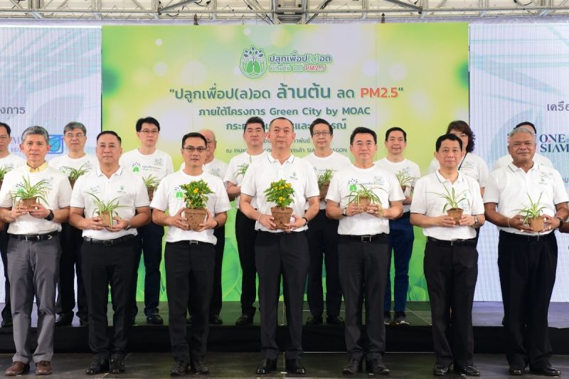 ชวนคนกรุงปลูกต้นไม้ ลดฝุ่น PM2.5