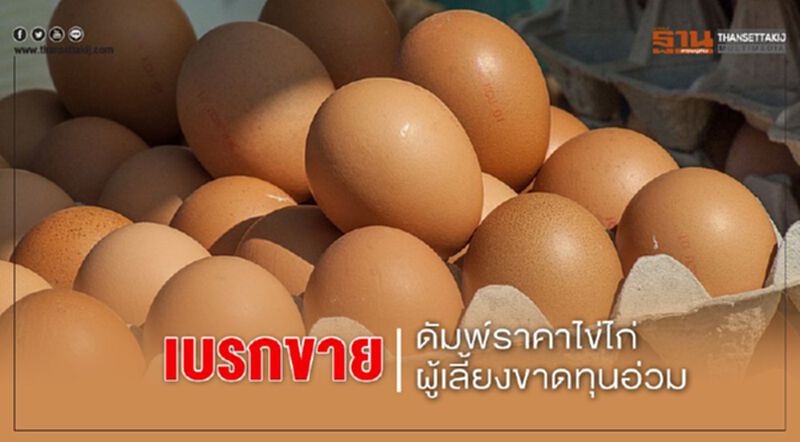 เบรกขายดัมพ์ราคาไข่ไก่ผู้เลี้ยงขาดทุนอ่วม เบรกขายดัมพ์ราคาไข่ไก่ผู้เลี้ยงขาดทุนอ่วม