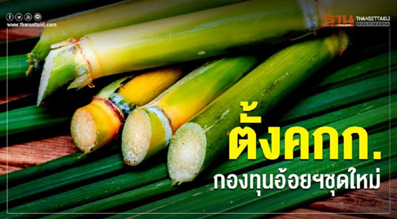 ตั้งคกก.กองทุนอ้อยฯชุดใหม่ ตั้งคกก.กองทุนอ้อยฯชุดใหม่