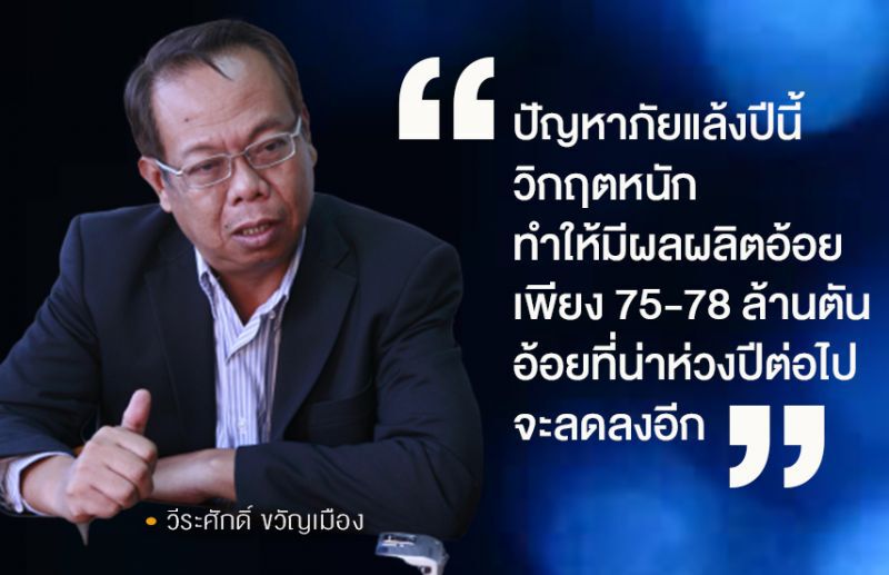 ชาวไร่อ้อย-รง.น้ำตาลผวา แล้งนี้สูญรายได้กว่า 1 แสนล.