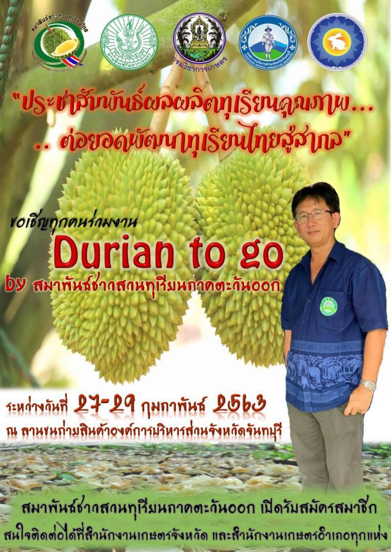 โล่ง “พ่อค้าจีน”ทาบซื้อทุเรียน 140-150 บาท/กิโลกรัม