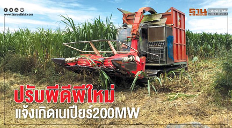ปรับพีดีพีใหม่ แจ้งเกิดเนเปียร์200MW ปรับพีดีพีใหม่ แจ้งเกิดเนเปียร์200MW