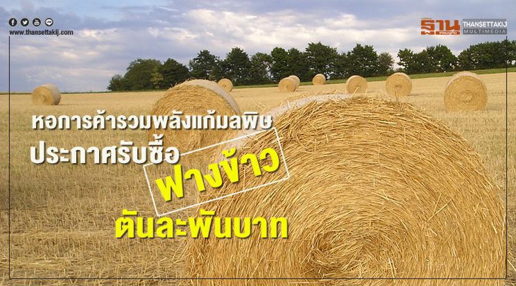 หอการค้ารวมพลังแก้มลพิษ ประกาศรับซื้อฟางข้าวตันละพันบาท