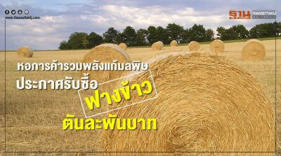 หอการค้ารวมพลังแก้มลพิษ ประกาศรับซื้อฟางข้าวตันละพันบาท
