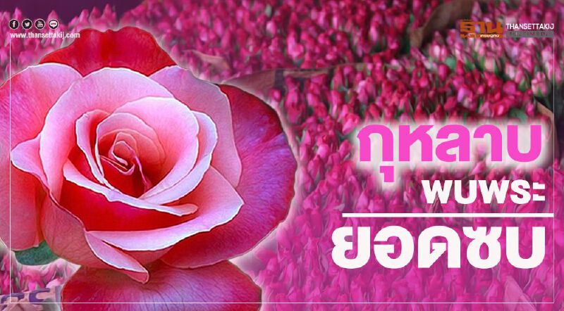 กุหลาบพบพระยอดซบ ไวรัสโคโรนา-ศก.ซึมฉุดออร์เดอร์วาเลนไทน์