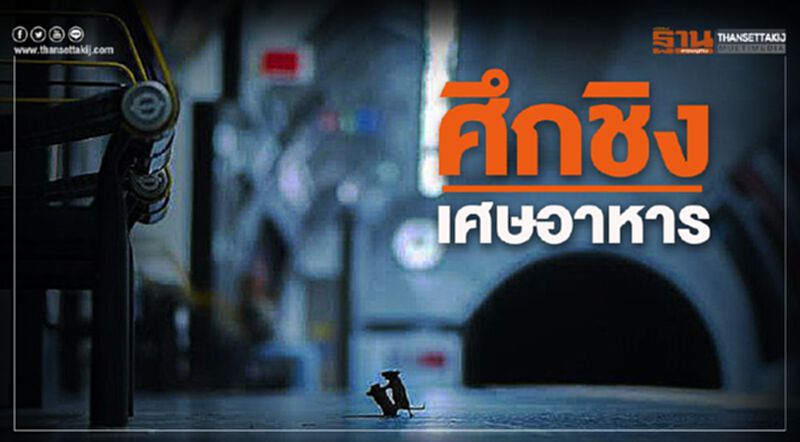 "หนูต่อยกัน" คว้าสุดยอดภาพ ขวัญใจมหาชน "หนูต่อยกัน" คว้าสุดยอดภาพ ขวัญใจมหาชน
