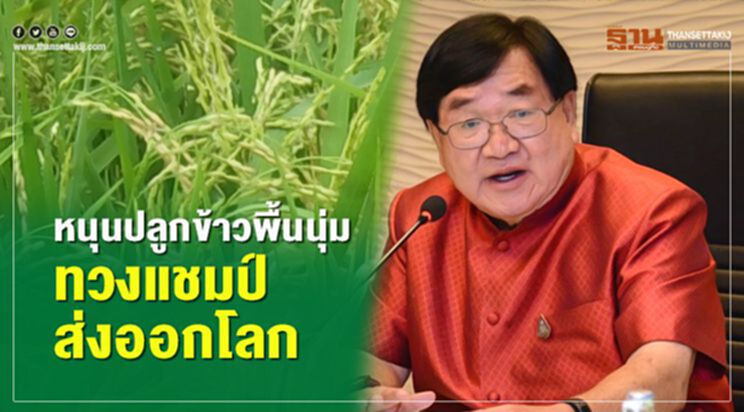 หนุนปลูกข้าวพื้นนุ่มทวงแชมป์ส่งออกโลก หนุนปลูกข้าวพื้นนุ่มทวงแชมป์ส่งออกโลก