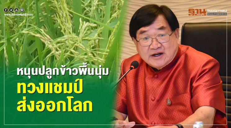 หนุนปลูกข้าวพื้นนุ่มทวงแชมป์ส่งออกโลก หนุนปลูกข้าวพื้นนุ่มทวงแชมป์ส่งออกโลก