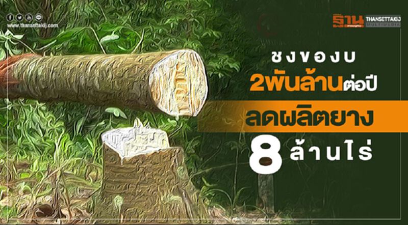 ชงของบ2พันล้านต่อปี ลดผลิตยาง8ล้านไร่ ชงของบ2พันล้านต่อปี ลดผลิตยาง8ล้านไร่