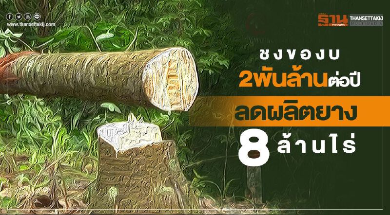 ชงของบ2พันล้านต่อปี  ลดผลิตยาง8ล้านไร่