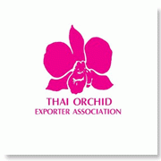 ไวรัสโคโรนาพ่นพิษจีนระงับสั่งซื้อกล้วยไม้