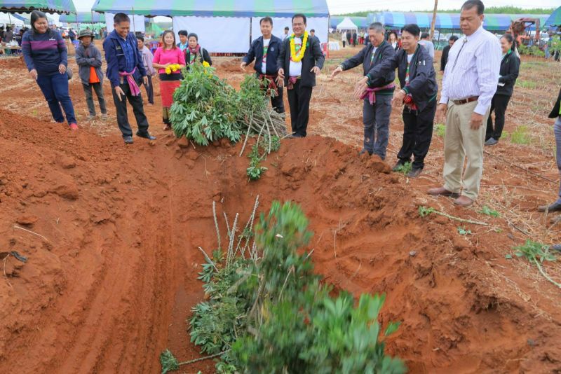คุมเข้มย้ายท่อนพันธุ์ข้ามเขตตัดตอนโรค