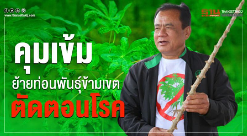 คุมเข้มย้ายท่อนพันธุ์ข้ามเขตตัดตอนโรค คุมเข้มย้ายท่อนพันธุ์ข้ามเขตตัดตอนโรค