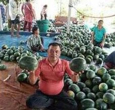 เพิ่ม “ข้าวพื้นนุ่ม” เข้าร่วมวงประกันรายได้