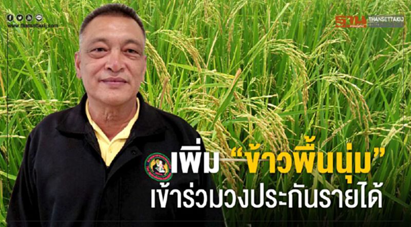 เพิ่ม “ข้าวพื้นนุ่ม” เข้าร่วมวงประกันรายได้ เพิ่ม “ข้าวพื้นนุ่ม” เข้าร่วมวงประกันรายได้