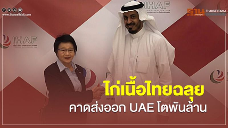 ไก่เนื้อไทยฉลุยคาดส่งออก UAE โตพันล้าน ไก่เนื้อไทยฉลุยคาดส่งออก UAE โตพันล้าน
