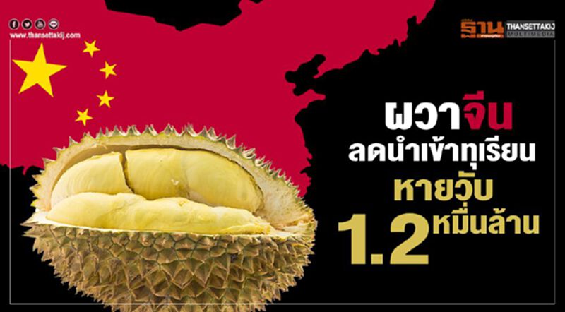 ผวาจีน ลดนำเข้าทุเรียน หายวับ1.2 หมื่นล. ผวาจีน ลดนำเข้าทุเรียน หายวับ1.2 หมื่นล.