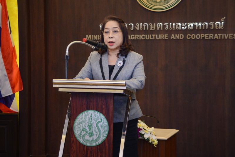 ชี้ตั้งกองทุน-สภาประมงไม่ใช่เรื่องเร่งด่วน