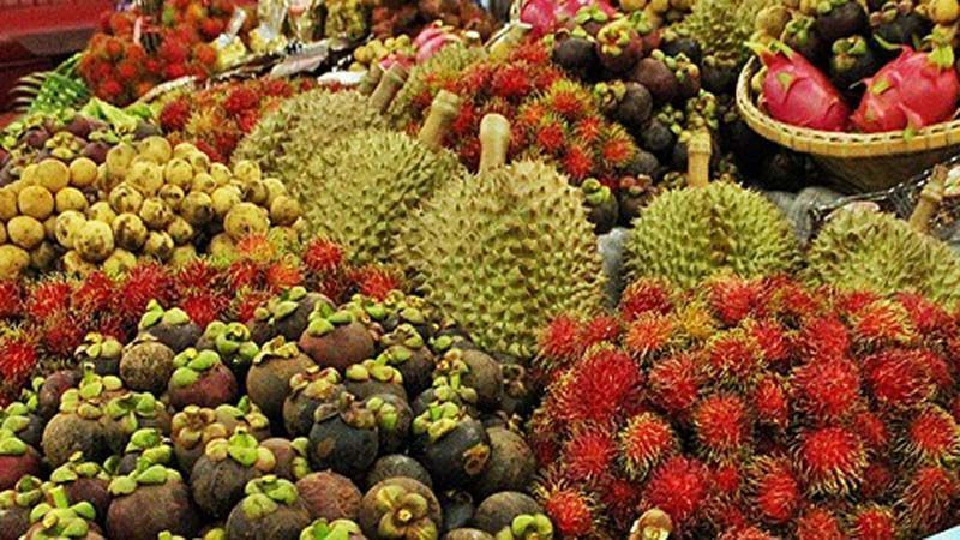 ล้งเปิดศึกแย่งซื้อ “ทุเรียน” ดันราคาพุ่ง