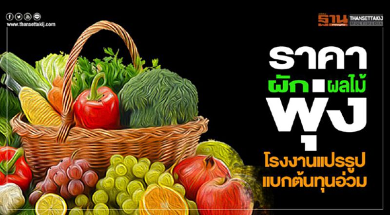 ราคาผัก-ผลไม้พุ่ง โรงงานแปรรูปแบกต้นทุนอ่วม ราคาผัก-ผลไม้พุ่ง โรงงานแปรรูปแบกต้นทุนอ่วม