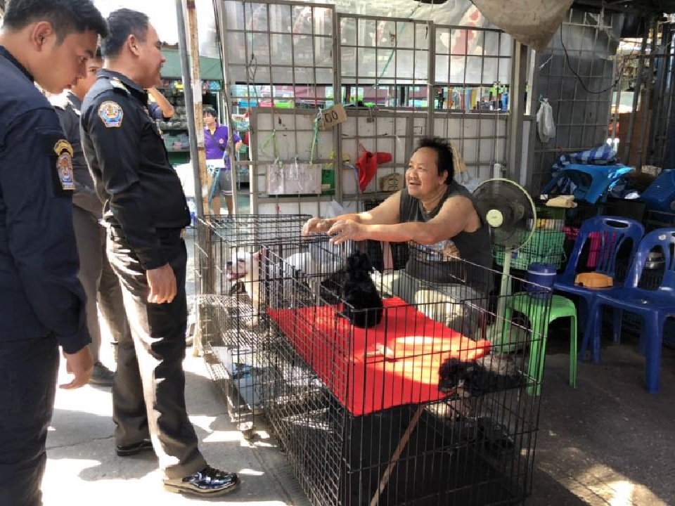 กฎหมายมาตรฐานคอกสุนัขมีผลบังคับใช้แล้ว