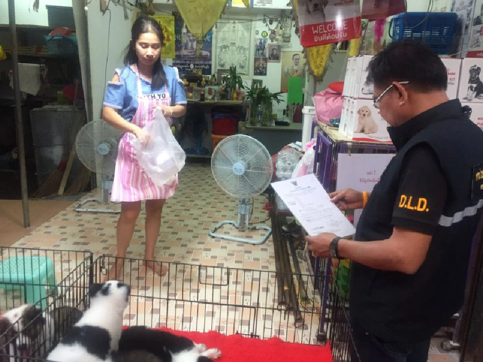 กฎหมายมาตรฐานคอกสุนัขมีผลบังคับใช้แล้ว