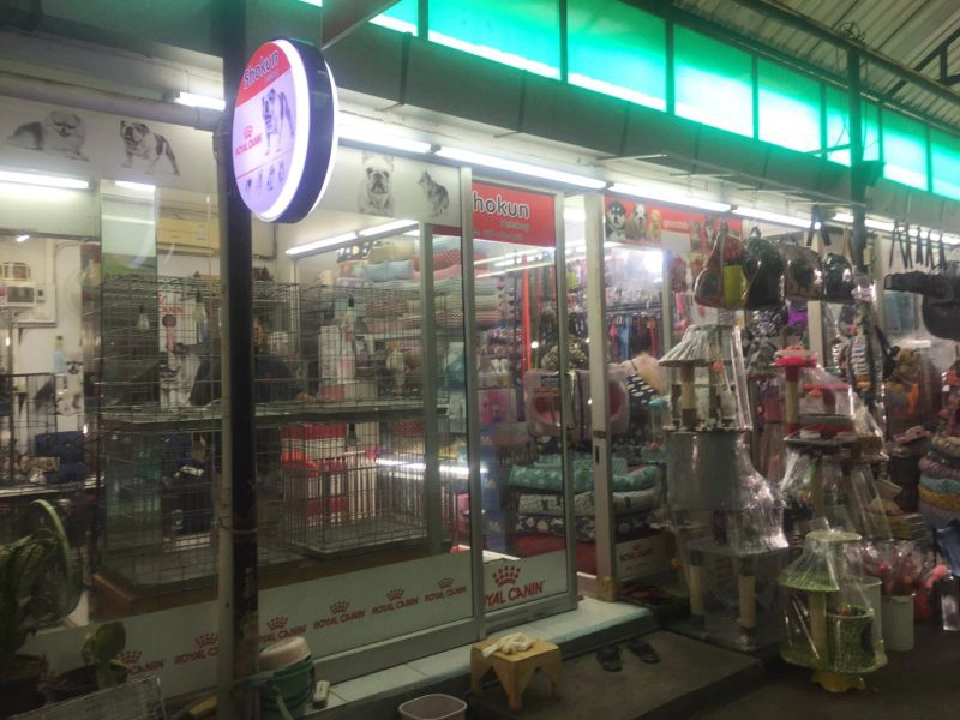 กฎหมายมาตรฐานคอกสุนัขมีผลบังคับใช้แล้ว