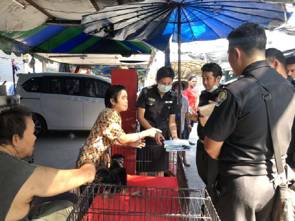 กฎหมายมาตรฐานคอกสุนัขมีผลบังคับใช้แล้ว