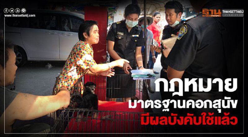 กฎหมายมาตรฐานคอกสุนัขมีผลบังคับใช้แล้ว กฎหมายมาตรฐานคอกสุนัขมีผลบังคับใช้แล้ว