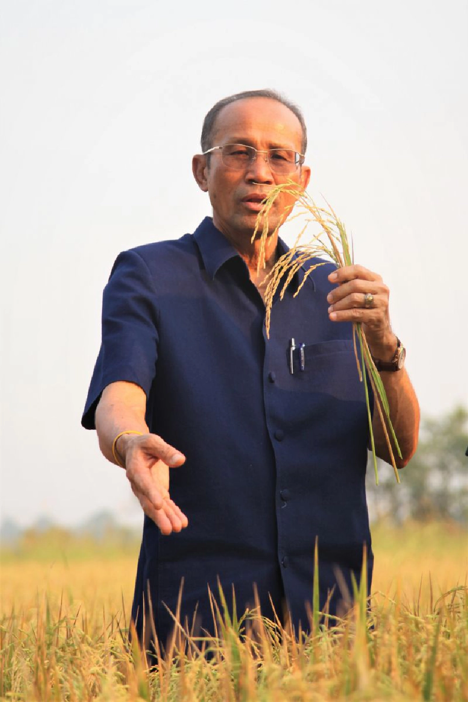 ส่งเมล็ดพันธุ์ข้าวเข้าเก็บธนาคารเมล็ดพันธุ์โลก