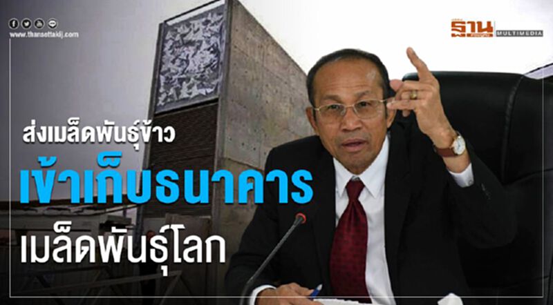ส่งเมล็ดพันธุ์ข้าวเข้าเก็บธนาคารเมล็ดพันธุ์โลก ส่งเมล็ดพันธุ์ข้าวเข้าเก็บธนาคารเมล็ดพันธุ์โลก