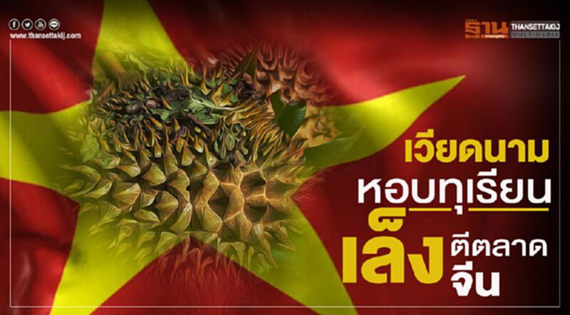 เวียดนามหอบทุเรียนเล็งตีตลาดจีน เวียดนามหอบทุเรียนเล็งตีตลาดจีน