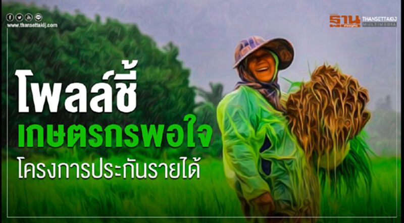 โพลล์ชี้เกษตรกรพอใจโครงการประกันรายได้ โพลล์ชี้เกษตรกรพอใจโครงการประกันรายได้
