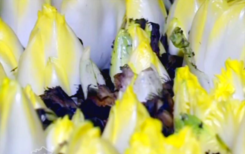 สลัดหัวใจขม 