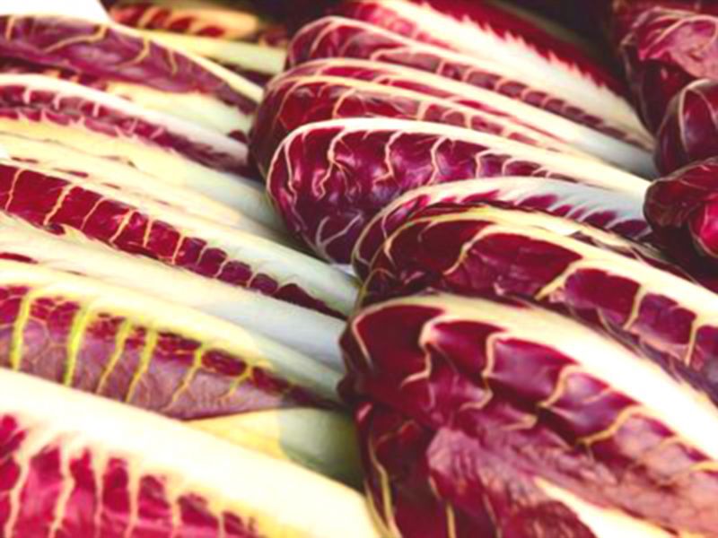 สลัดหัวใจขม 