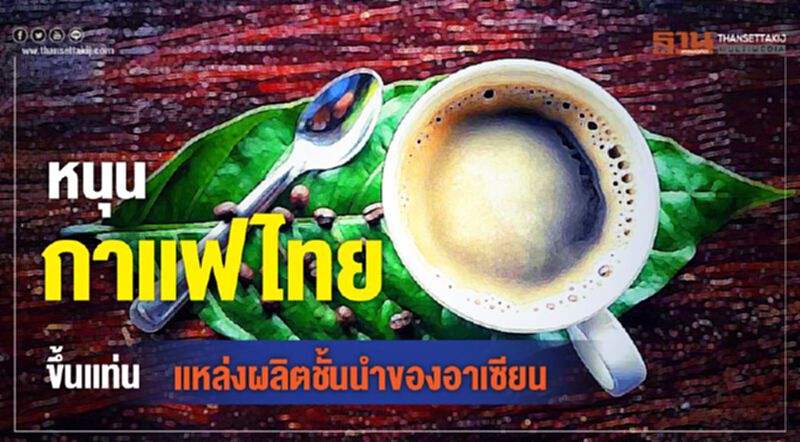 หนุนกาแฟไทยขึ้นแท่น แหล่งผลิตชั้นนำของอาเซียน หนุนกาแฟไทยขึ้นแท่น แหล่งผลิตชั้นนำของอาเซียน