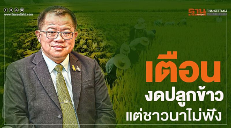 เตือนงดปลูกข้าว แต่ชาวนาไม่ฟัง เตือนงดปลูกข้าว แต่ชาวนาไม่ฟัง