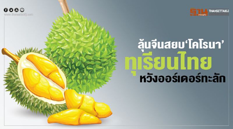 ลุ้นจีนสยบ‘โคโรนา’ ทุเรียนไทย หวังออร์เดอร์ทะลัก ลุ้นจีนสยบ‘โคโรนา’ ทุเรียนไทย หวังออร์เดอร์ทะลัก