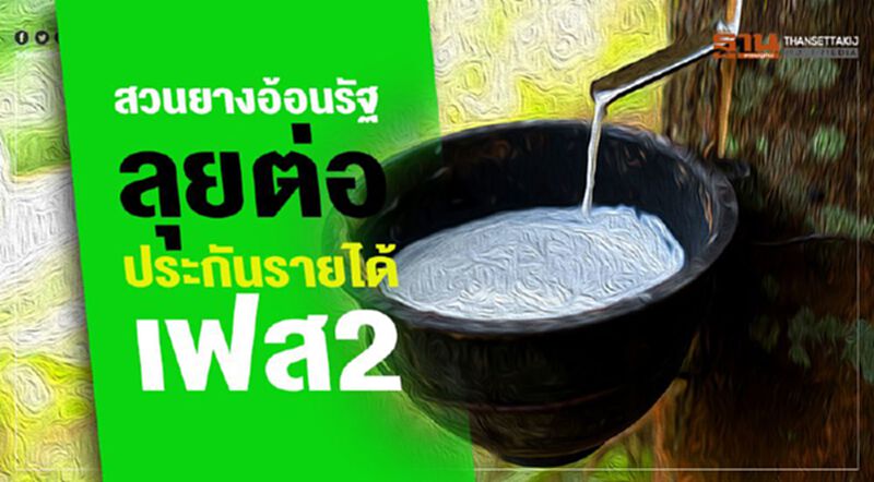 สวนยางอ้อนรัฐ ลุยต่อประกันรายได้เฟส2 สวนยางอ้อนรัฐ ลุยต่อประกันรายได้เฟส2