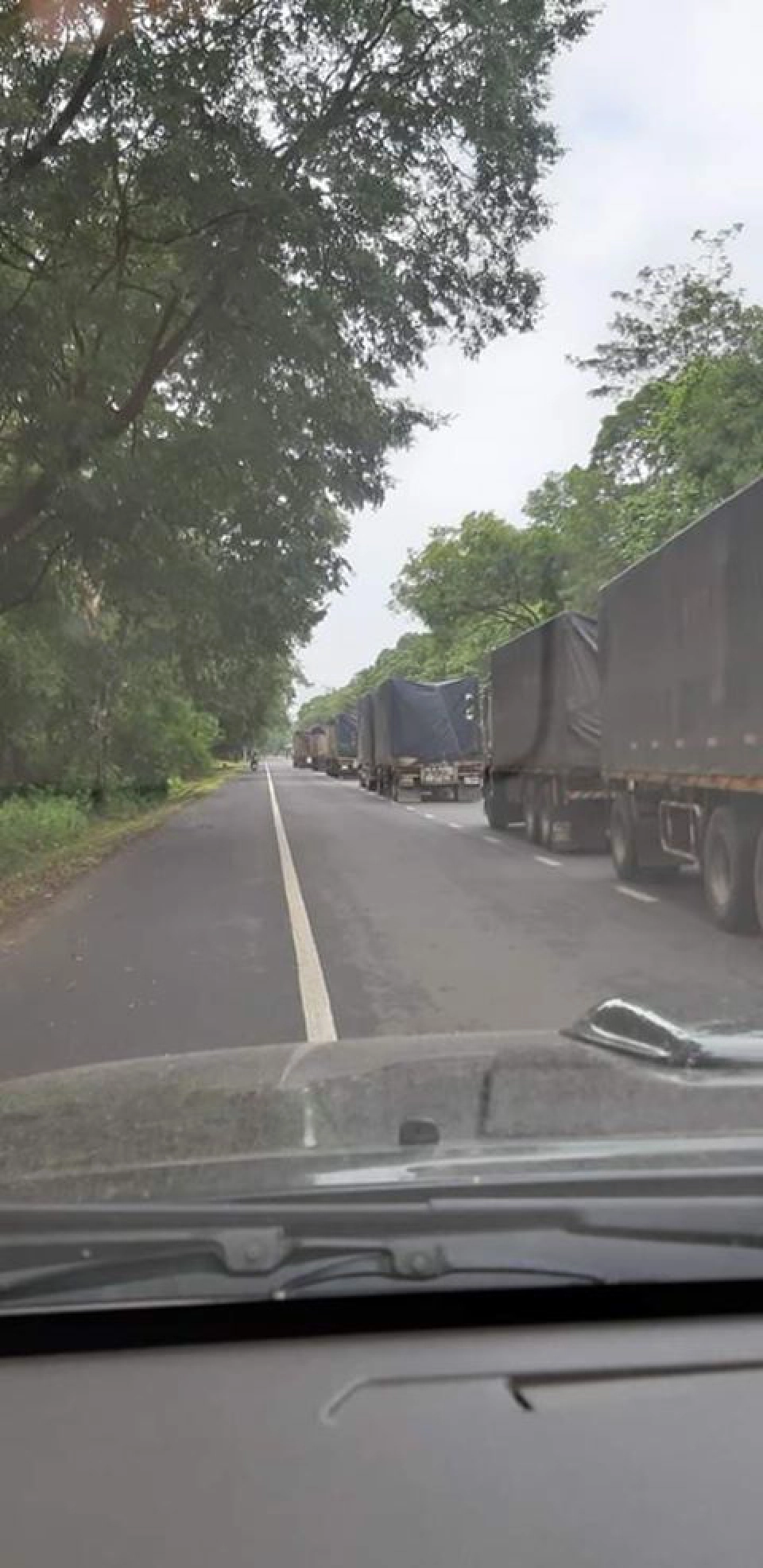 ชำแหละกฎหมายแบ่งปันผลประโยชน์ข้าว เอื้อใคร?