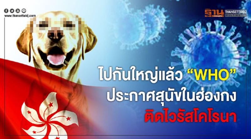 “WHO” ประกาศสุนัขในฮ่องกง ติดไวรัสโคโรนา “WHO” ประกาศสุนัขในฮ่องกง ติดไวรัสโคโรนา