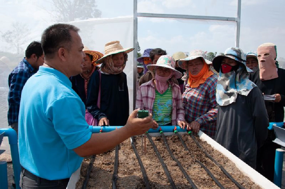 ปลูกพืชในโรงเรือน "สู้ภัยแล้ง" ใช้น้ำน้อย แต่กำไรมาก