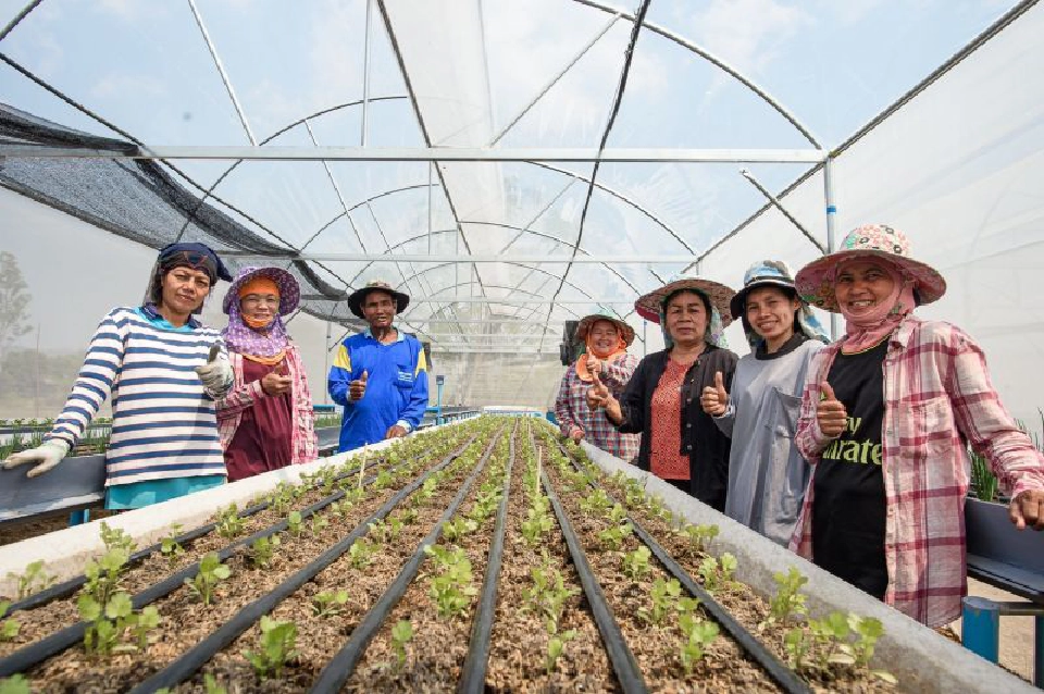 ปลูกพืชในโรงเรือน "สู้ภัยแล้ง" ใช้น้ำน้อย แต่กำไรมาก