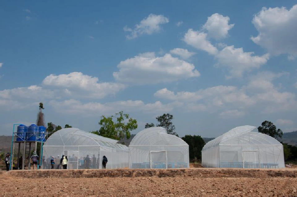 ปลูกพืชในโรงเรือน "สู้ภัยแล้ง" ใช้น้ำน้อย แต่กำไรมาก