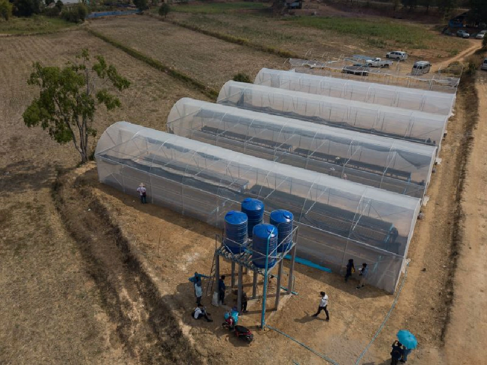 ปลูกพืชในโรงเรือน "สู้ภัยแล้ง" ใช้น้ำน้อย แต่กำไรมาก