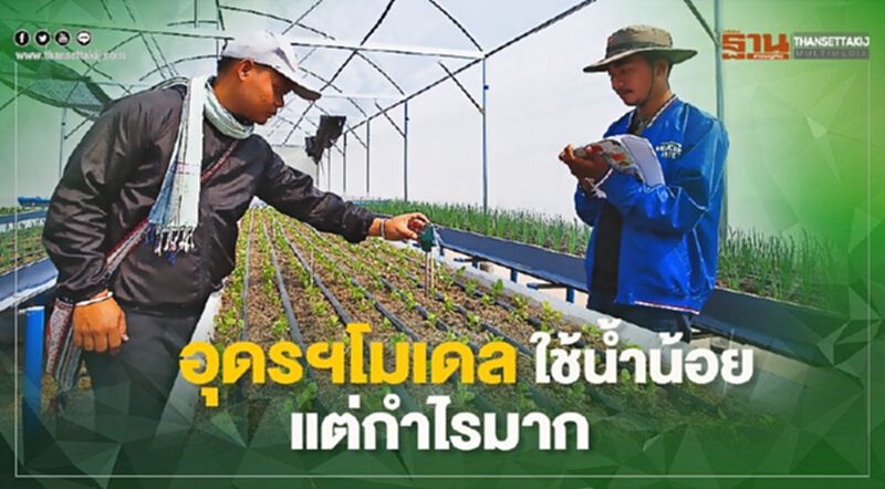 ปลูกพืชในโรงเรือน "สู้ภัยแล้ง" ใช้น้ำน้อย แต่กำไรมาก ปลูกพืชในโรงเรือน "สู้ภัยแล้ง" ใช้น้ำน้อย แต่กำไรมาก