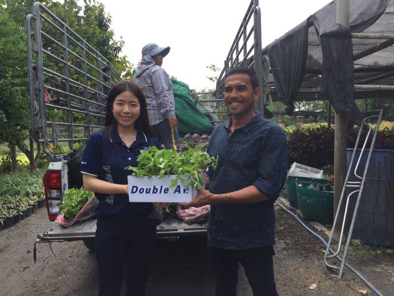 เกษตรฯ สั่งลุยแจกต้นไม้ 5 หมื่นต้น ลด PM 2.5