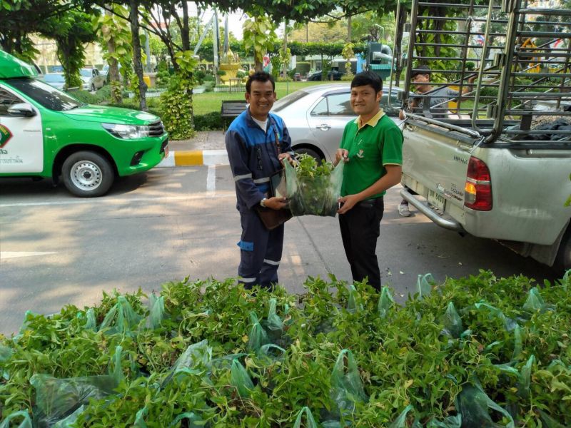 เกษตรฯ สั่งลุยแจกต้นไม้ 5 หมื่นต้น ลด PM 2.5