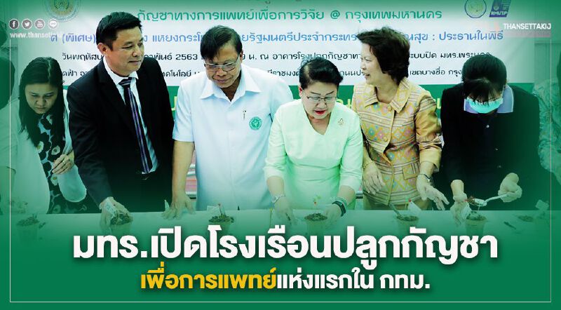 มทร.เปิดโรงเรือนปลูกกัญชาเพื่อการแพทย์แห่งแรกใน กทม. มทร.เปิดโรงเรือนปลูกกัญชาเพื่อการแพทย์แห่งแรกใน กทม.